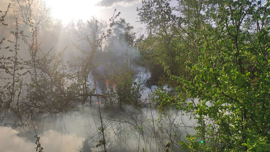 Пожар под Армавиром уничтожил 1 гектар леса