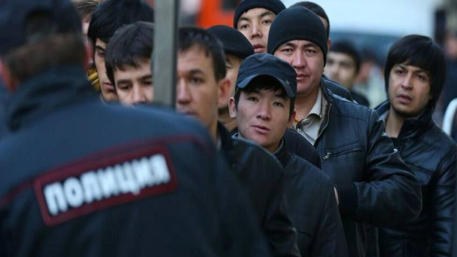 Одиннадцать мигрантов выдворили из страны после рейда в Темрюкском районе 