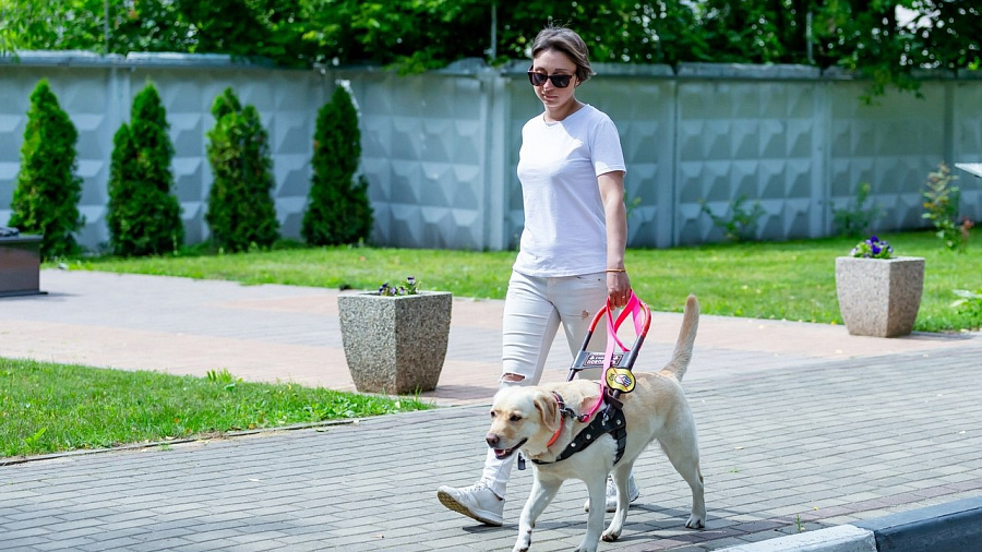 В России могут начать клонировать собак-поводырей