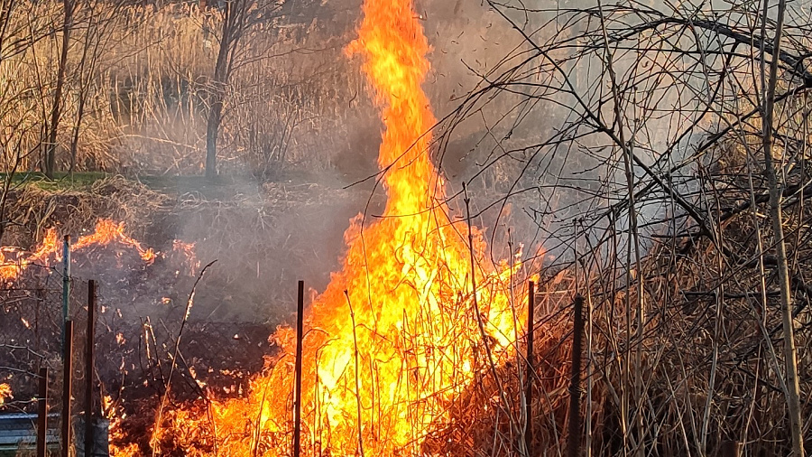 Штормовое предупреждение из-за пожароопасности объявлено в Краснодарском крае