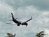 ФАС обязала авиакомпании отрегулировать цены на авиабилеты