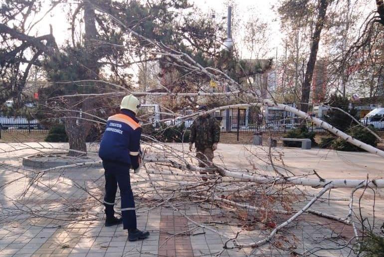 Bitrix 67913: 00044.JPG