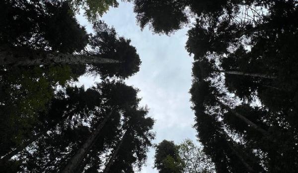 Bitrix 128397: 000.jpeg