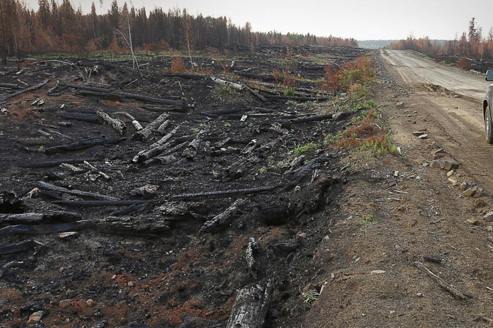 Bitrix 63189: 0012.jpg