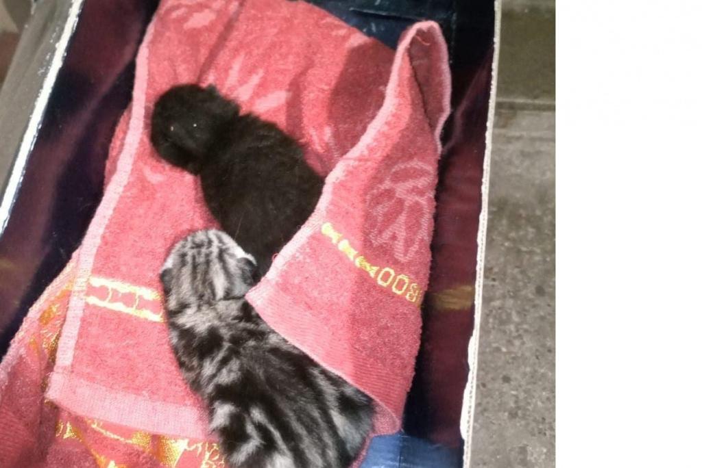 Bitrix 65260: 0012.JPG