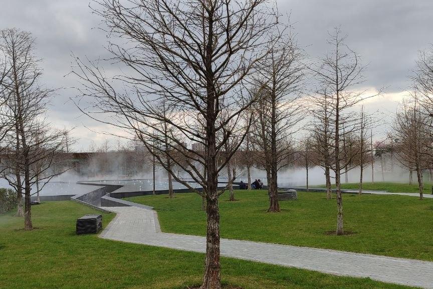 Фото Новая Кубань