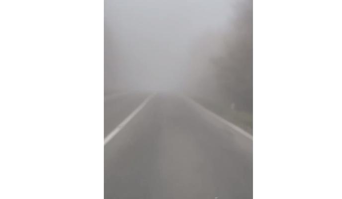 Bitrix 161529: 001.jpg