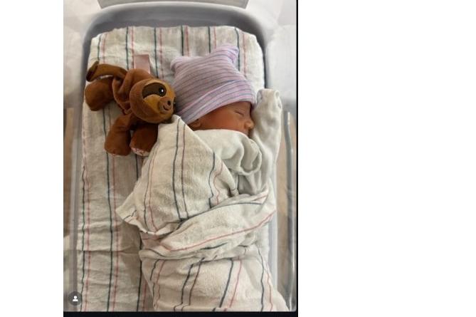 Bitrix 181892: 001.jpg