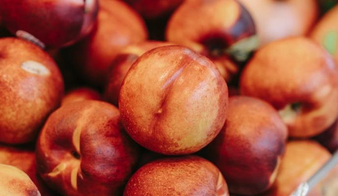 Bitrix 101273: 0022.jpeg