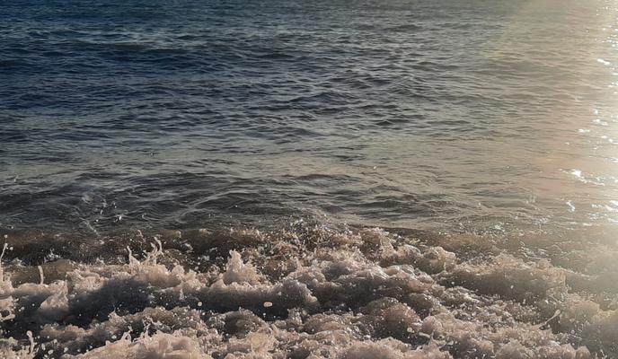 Bitrix 157534: 0023.jpg