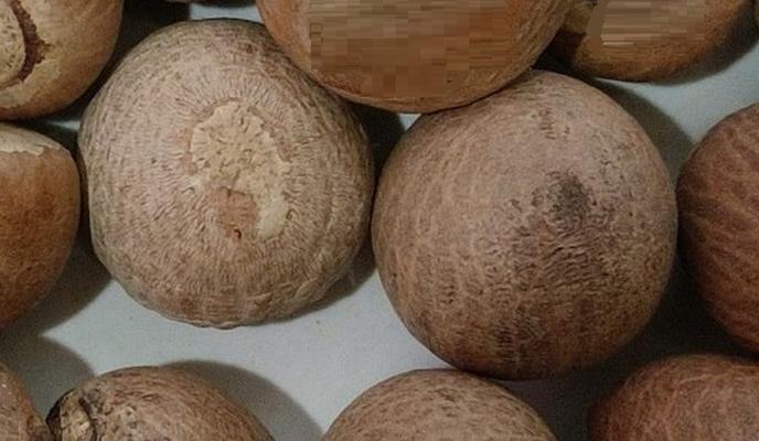 Bitrix 179919: 0023.jpg