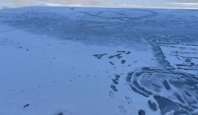 Bitrix 182670: 002.jpg