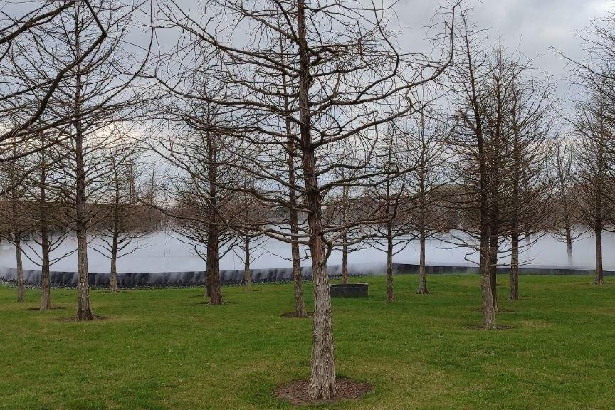 Фото Новая Кубань