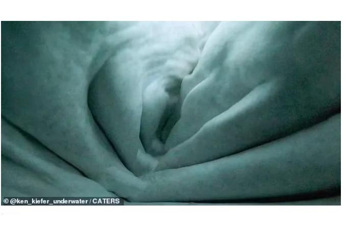 Bitrix 162148: 002.jpg