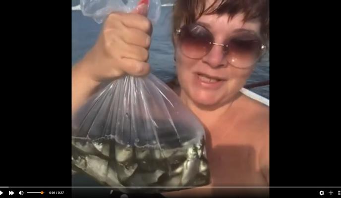 Bitrix 101898: 002.jpg