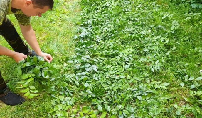 Bitrix 97591: 002.jpeg