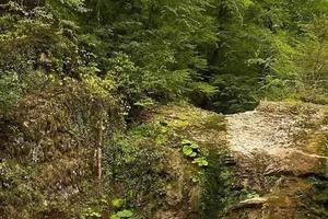 Bitrix 181988: 003-_1_.jpg