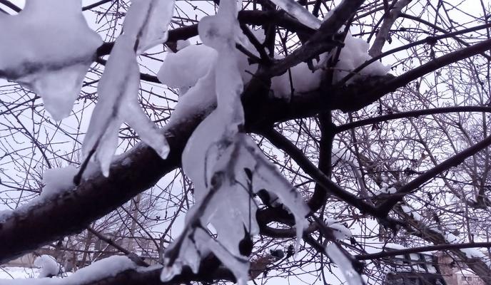 Bitrix 183111: 003.jpg