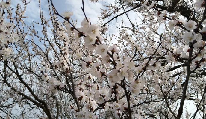 Bitrix 183685: 003.jpg