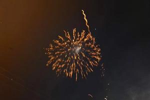 Bitrix 181844: 003.jpg