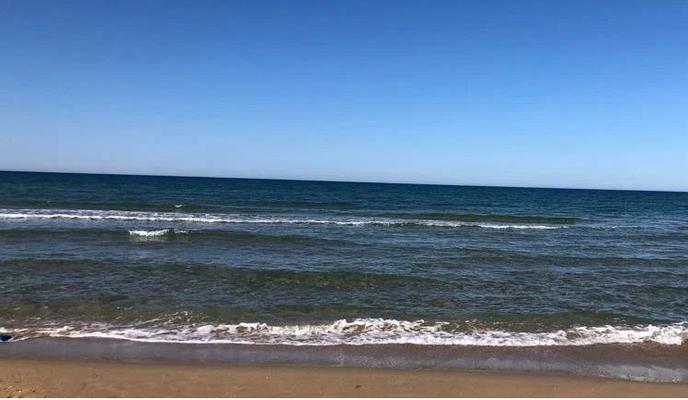 Bitrix 172884: 003.jpg