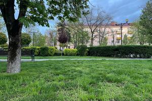 003c176b-a98c-453a-988b-a7fc1cce98bb