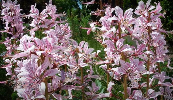 Bitrix 96779: 004.png