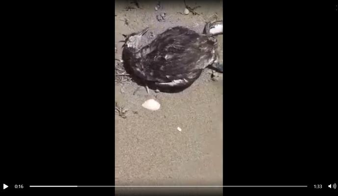 Bitrix 95597: 0044.jpg