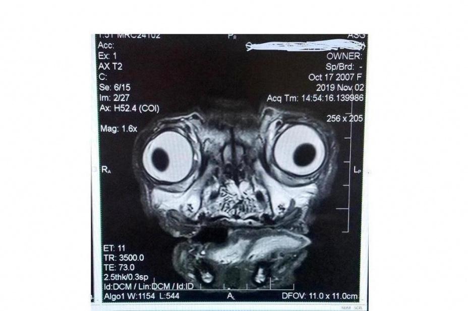 Bitrix 69273: 0044.jpg