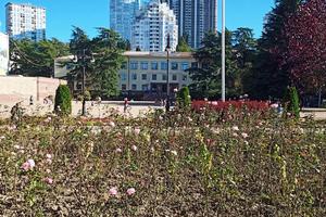 Bitrix 185561: 004.jpeg