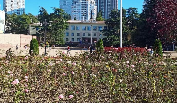 Bitrix 185561: 004.jpeg