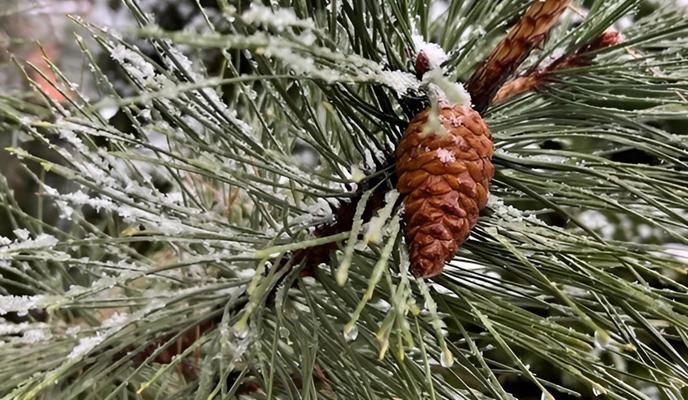 Bitrix 183733: 004.jpg