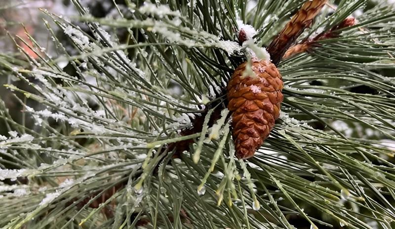 Bitrix 183733: 004.jpg