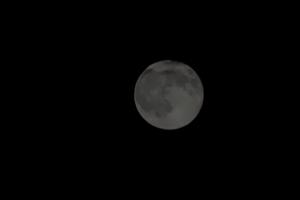 Bitrix 185037: 004.jpg