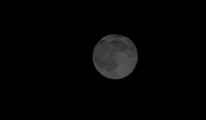 Bitrix 185037: 004.jpg
