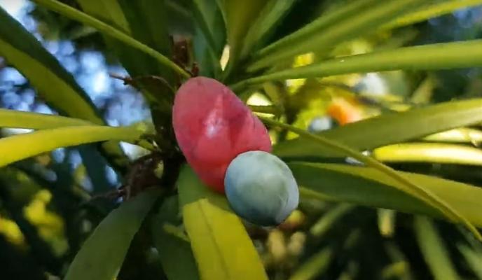 Bitrix 142014: 005.jpg