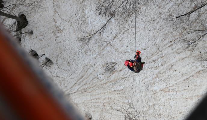 Bitrix 95729: 005.jpg