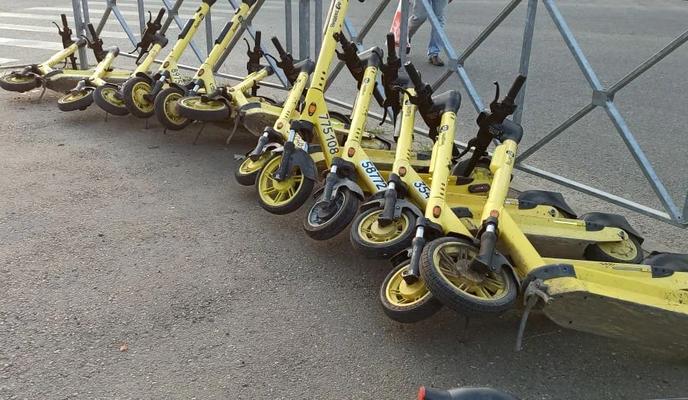 Bitrix 185788: 005.jpg