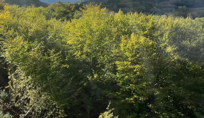 Bitrix 181482: 0066.jpg