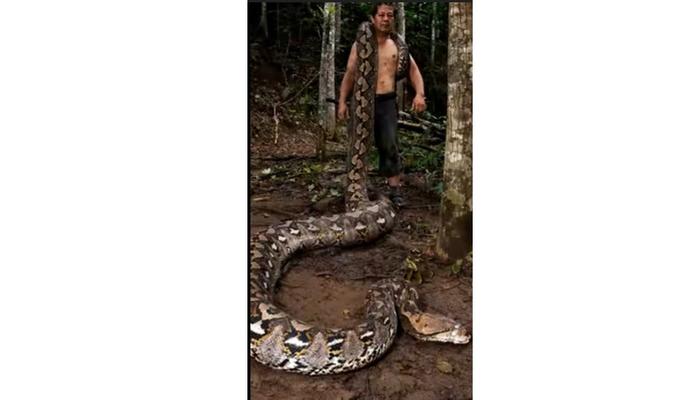 Bitrix 183637: 006.jpg