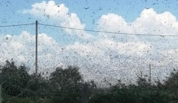 Bitrix 99406: 006.png