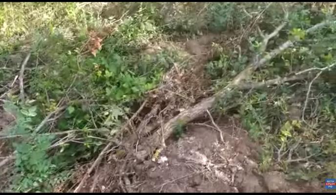 Bitrix 99738: 00887.jpg