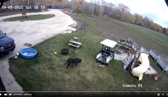 Bitrix 107449: 0088.jpg