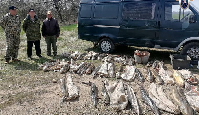 Bitrix 179592: 0089.jpg