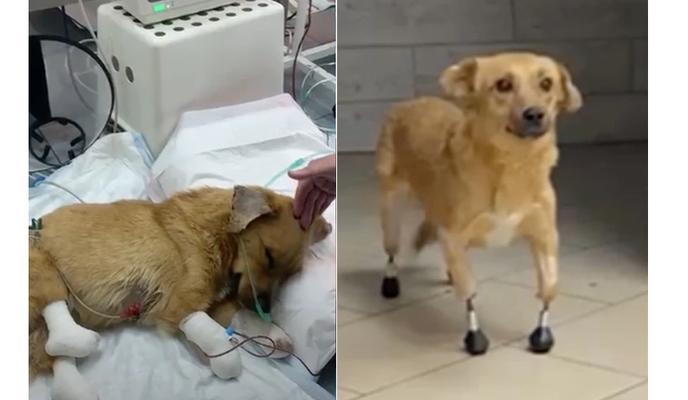 Bitrix 107807: 0099.png