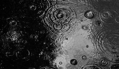 Bitrix 102909: 0099.jpeg