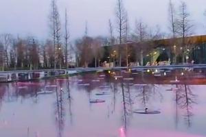 Bitrix 185168: 009.jpg