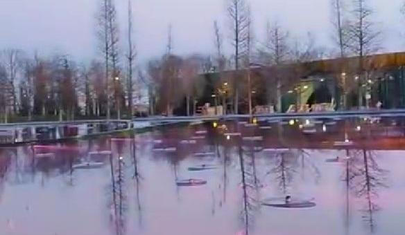 Bitrix 185168: 009.jpg