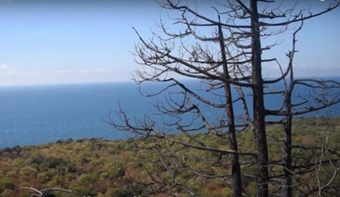 Bitrix 93882: 009.jpg