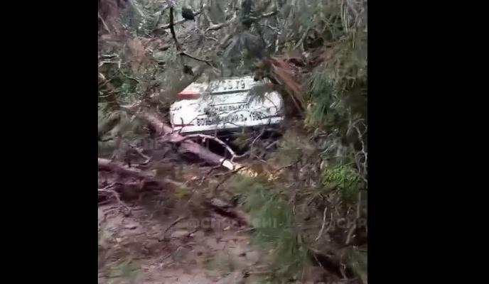 Bitrix 131600: 00.jpg